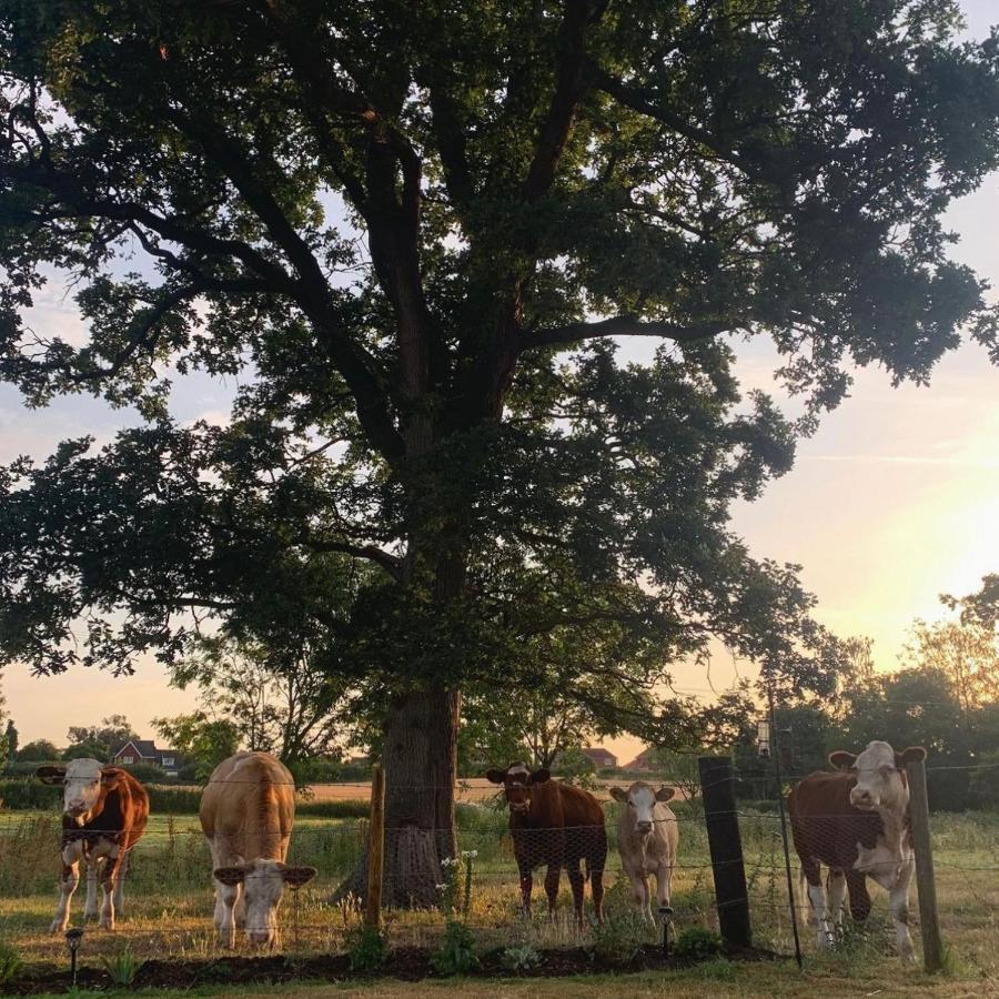 Church Farm Bed & Breakfast Thurlton Luaran gambar